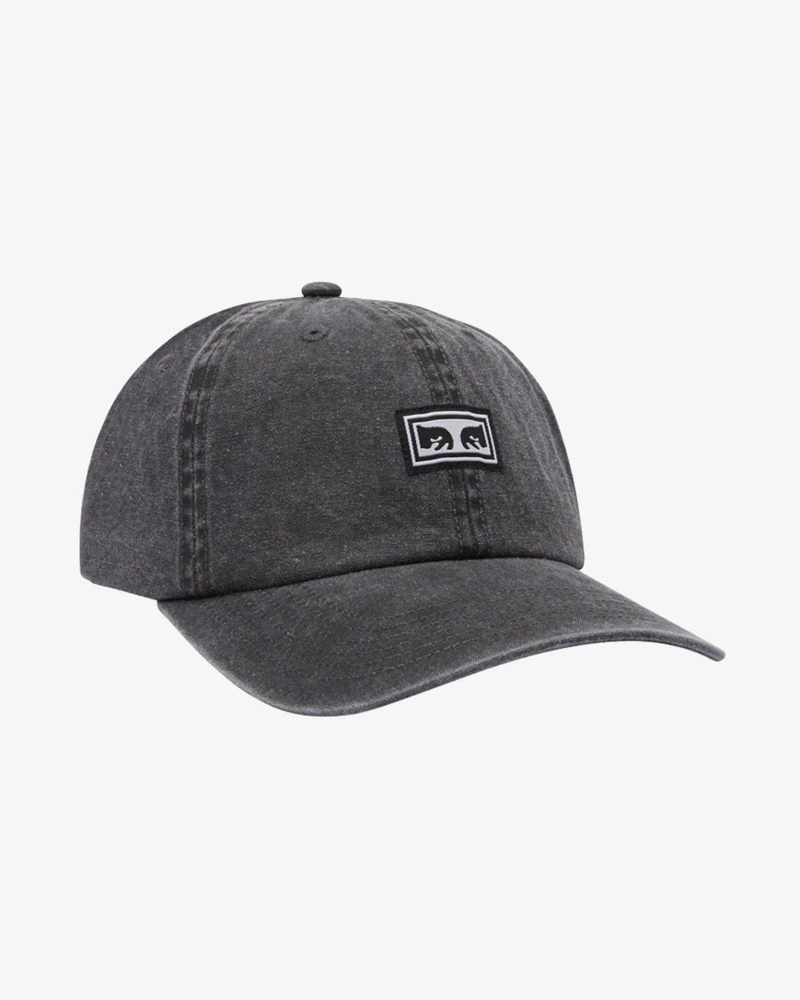 Icon Eyes Pigment 6 Panel Hat (Pigment Black)