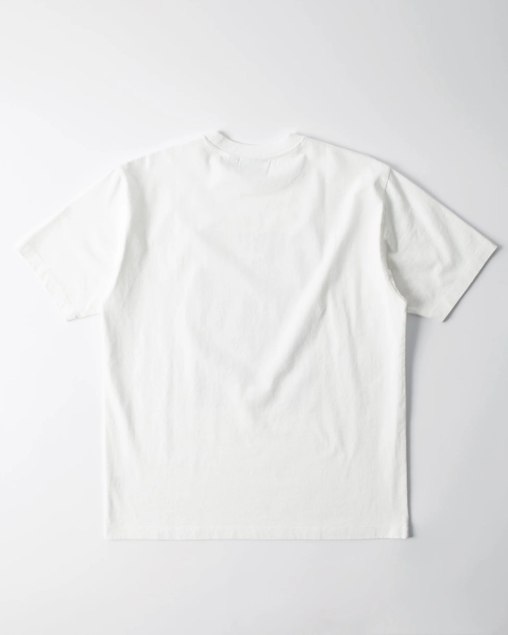 The stelvio t-shirt (white)